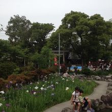 知立神社へもいけます