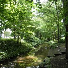 碑の向かいの小川