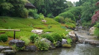 美しい庭園です