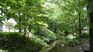 周囲の新緑が鮮やかな六月の人工雪誕生の地碑