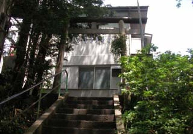 崖線の下に湧水のある神社