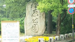 森林浴におすすめ