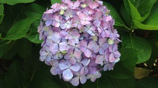 都心にもこんな場所があるのです