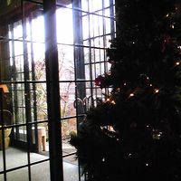 母屋のクリスマスツリー