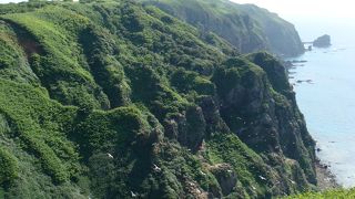 天売島の断崖を見渡せる展望ポイント