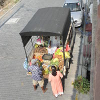 果物屋さんが売りにきていました。