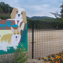 ドッグランも整備されていました