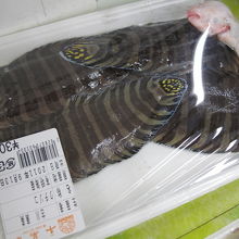 しましまな クチゾコ