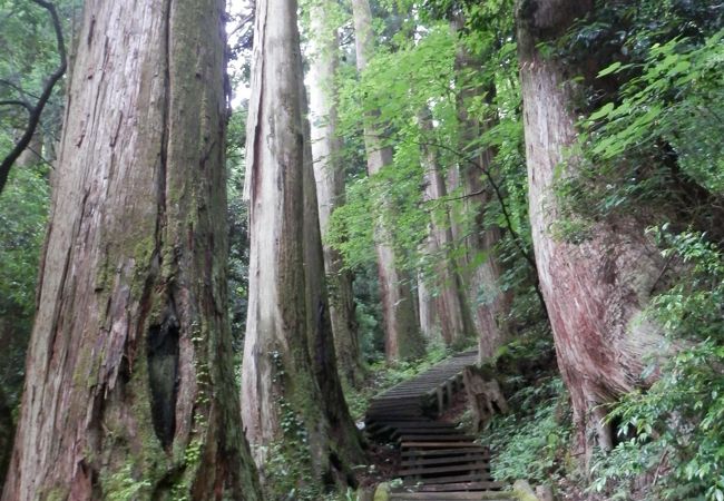 雌滝から雄滝までの階段道　滑りやすいです