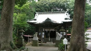 700年以上もの歴史