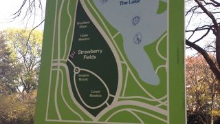 いついってもビートルズファンがいます。歌や音楽など誰か奏でてます