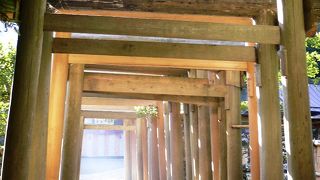 銭洗弁財天宇賀福神社