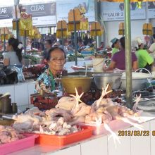 アヤム（鶏）が・・・