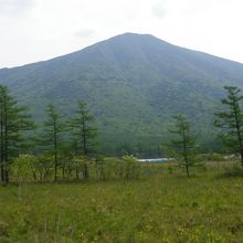 戦場ヶ原・三本松附近から見る男体山