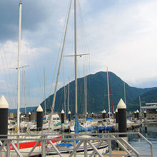 北浜ヨットハーバー　背後の山は高崎山