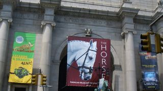 アメリカ自然史博物館