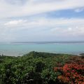 空と海と花の絶景ポイント！