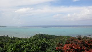 空と海と花の絶景ポイント！