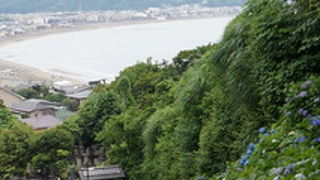 鎌倉の海と紫陽花のコラボの楽しめる極楽寺のアジサイ寺
