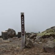 山頂で雷鳥のカップルに遭遇