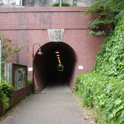 廃線になった軽便鉄道の、かわいいトンネルです