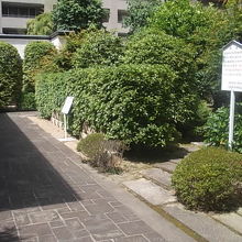 小粋な散歩道の奥に建物があります