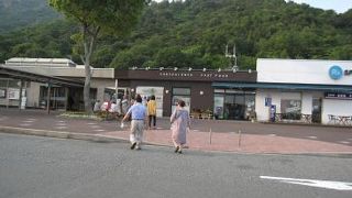 アウトレット萩焼を購入