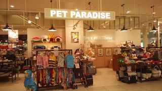 見ているだけで楽しい