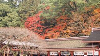 太宰府天満宮の目玉