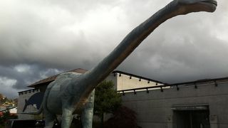 地味な恐竜博物館