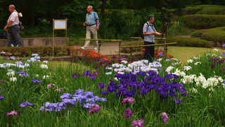 皇居二の丸庭園は華やかさと言うより　落ち着きのある庭園でした