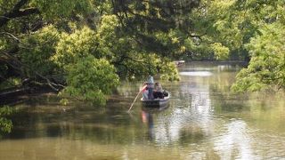夏場は適さないそうです