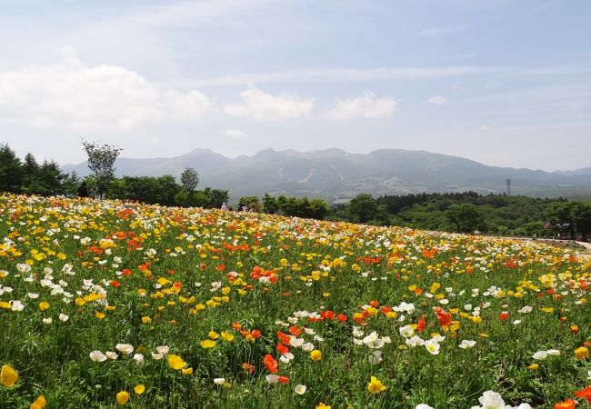 那須フラワーワールド