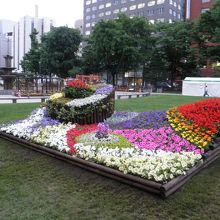 大通公園の花壇