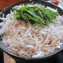 湯浅でいただいたシラス丼