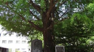 善福寺の境内にあります