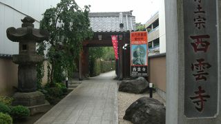 ここ運が開けるかも・・