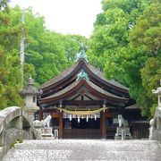 知立神社内　「知立公園　花しょうぶ祭り」に行ってきました