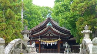 知立神社内　「知立公園　花しょうぶ祭り」に行ってきました