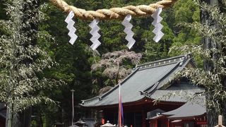 世界文化遺産に登録された‘日光の社寺（二社一寺）’の一つ