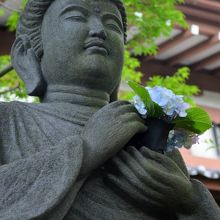 優しく紫陽花を持つ仏様。時折寺務員さんが取り替えてました。