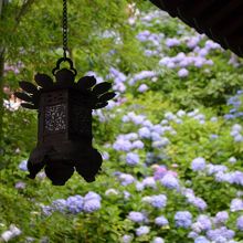 大型マニ車は毎月18日に回す事ができます。今日は回せない日。