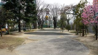 最初は公園とは分からず