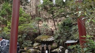 神苑奥にある霊泉を集めた池