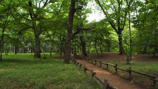 自然がたくさんありリラックスできます