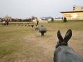 島根県立美術館