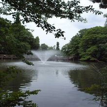 橋がかけられており散策にいい場所