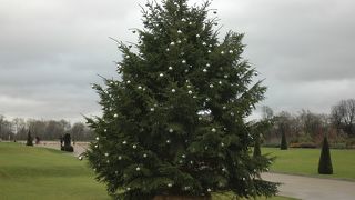 ケンジントン・ガーデンズ 