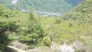 バスからの景色も良かったです（欄干がちょっとじゃまでしたが）。