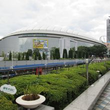 東京ドームです